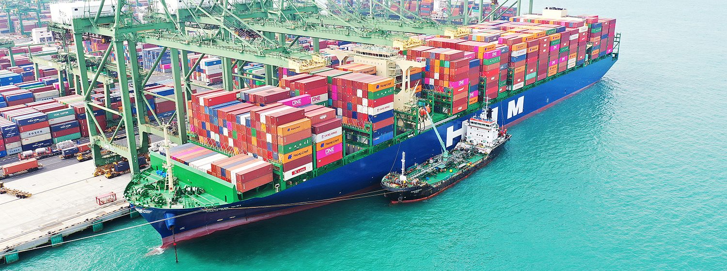 De 'HMM Nuri' (16.010 teu) in Singapore