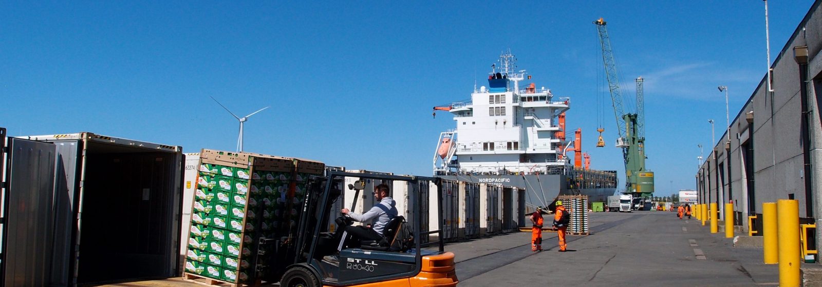 Havenarbeiders lossen kiwi's van Zespri bij BNFW in Zeebrugge