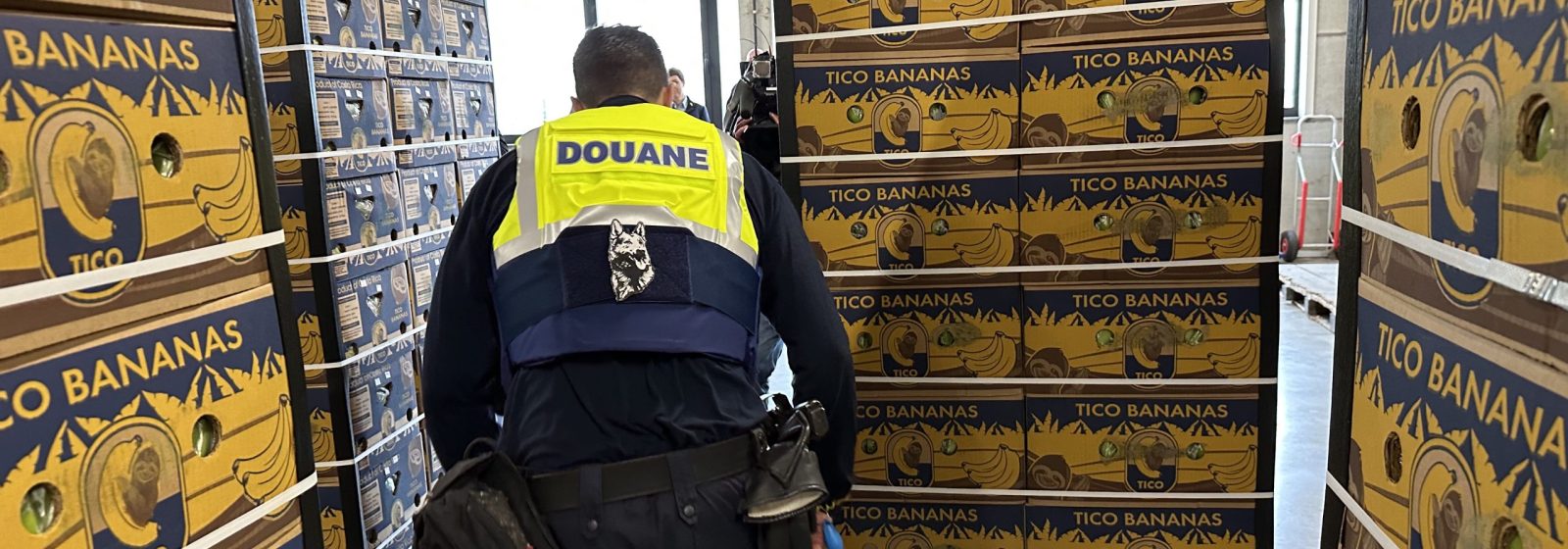 Douane zoekt naar cocaïne tussen bananen.